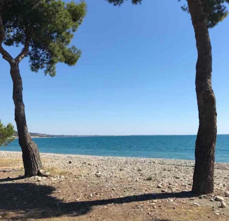La Casa Al Mare Corallo Verde Montegiordano Luaran gambar